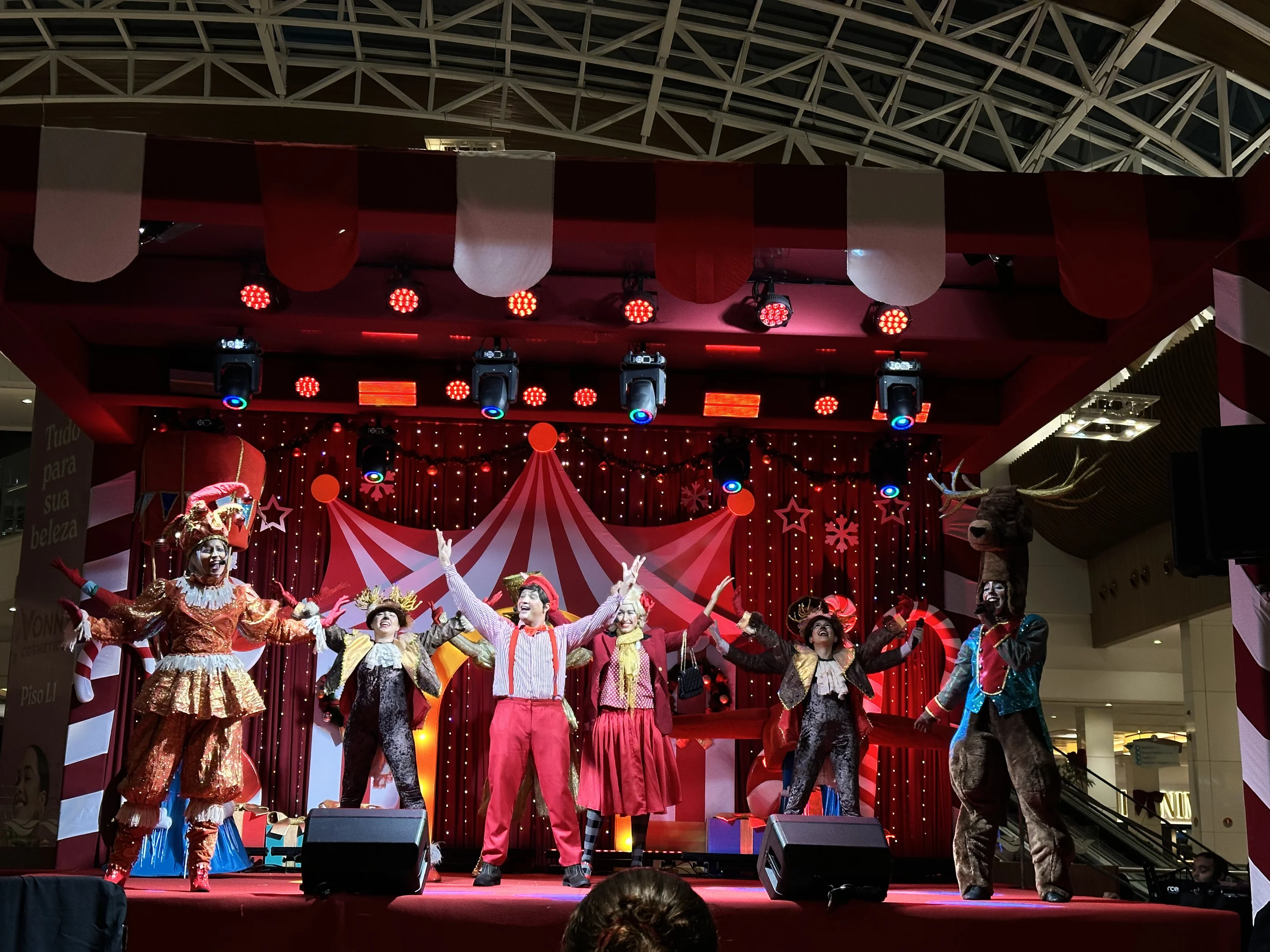 O Reino Encantado especial de Natal